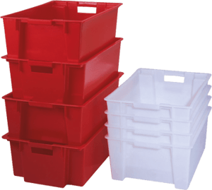 cassette-in-plastica-testata-tempo-libero.i2903-k0fth4s-l1